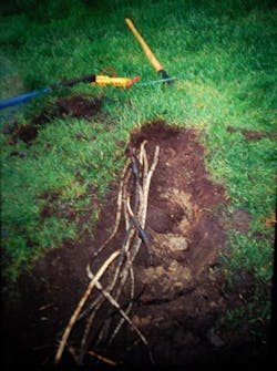 Ecmweb Com Sites Ecmweb com Files Uploads 2013 05 5 22 13wwhweb 1 Ecmweb Com Sites Ecmweb com Files Uploads 2013 05 5 22 13wwhweb 1