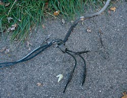 Ecmweb Com Sites Ecmweb com Files Uploads 2013 08 308ecm Fore Npic1 Ecmweb Com Sites Ecmweb com Files Uploads 2013 08 308ecm Fore Npic1