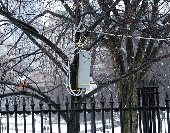 Ecmweb Com Sites Ecmweb com Files Uploads 2013 12 Nec Violations Illustrated Tree 0