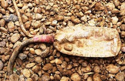 Ecmweb Com Sites Ecmweb com Files Uploads 2014 01 Nec Violations Bottle 0 Ecmweb Com Sites Ecmweb com Files Uploads 2014 01 Nec Violations Bottle 0