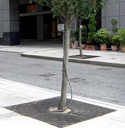 Ecmweb Com Sites Ecmweb com Files Uploads 2014 01 Nec Violations Small Tree