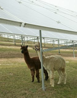 Ecmweb Com Sites Ecmweb com Files Uploads 2014 04 Gannett Fleming Pv Array Ecmweb Com Sites Ecmweb com Files Uploads 2014 04 Gannett Fleming Pv Array