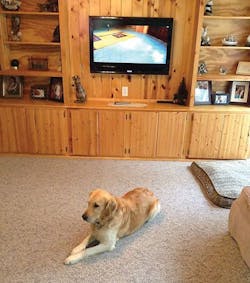 Ecmweb Com Sites Ecmweb com Files Uploads 2014 09 Passive Infrared Technology 1 0 Ecmweb Com Sites Ecmweb com Files Uploads 2014 09 Passive Infrared Technology 1 0