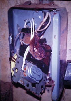 Ecmweb Com Sites Ecmweb com Files Uploads 2015 02 Nec Violations Illustrated 2 Ecmweb Com Sites Ecmweb com Files Uploads 2015 02 Nec Violations Illustrated 2