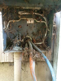 Ecmweb Com Sites Ecmweb com Files Uploads 2015 12 Makeshift Housing 2 Ecmweb Com Sites Ecmweb com Files Uploads 2015 12 Makeshift Housing 2