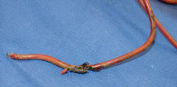 Www Ecmweb Com Sites Ecmweb com Files Pressure Washer Electrocution Photo 5