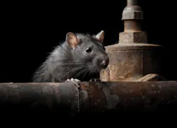 Www Ecmweb Com Sites Ecmweb com Files Pest Control 1 0