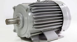 A 480V, 3-phase, squirrel-cage motor is a common piece of equipment in many facilities.
