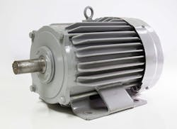 A 480V 3phase squirrelcage motor is a common piece of equipment in many facilities A 480V 3phase squirrelcage motor is a common piece of equipment in many facilities