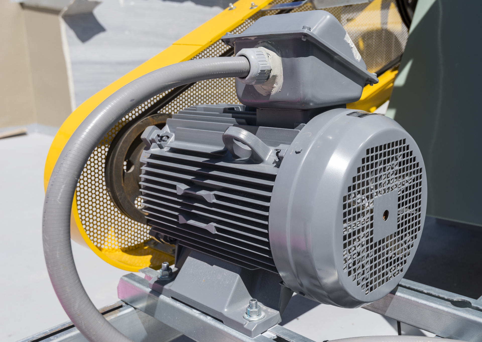 Three Phase Industrial Motor