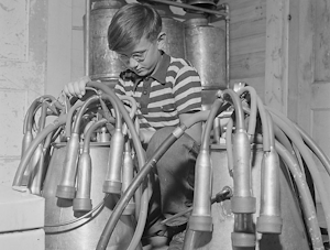 Ecmweb 15245 Early Electrical Gadgets Pr