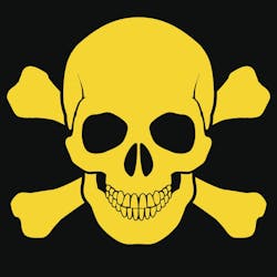 skull crossbone skull crossbone