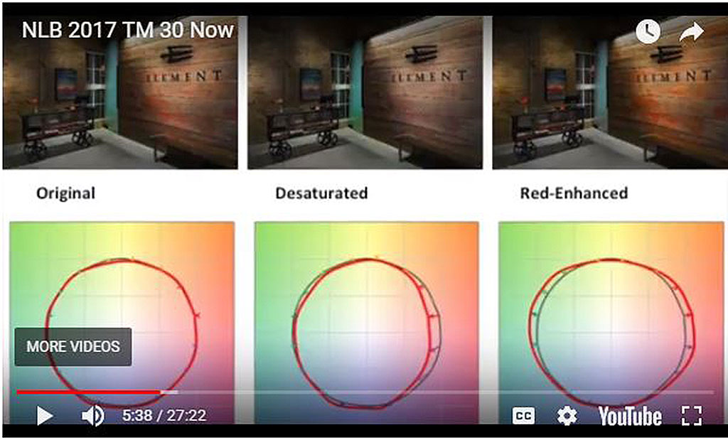 National Lighting Bureau TM-30 Now video still