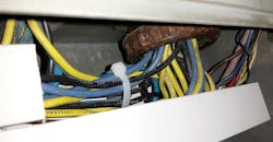 LEDs and Power Quality LEDs and Power Quality