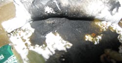 LED and PQ LED and PQ