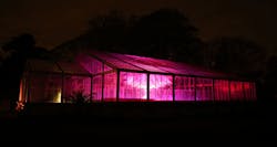 Kew Gardens greenhouse lighting Kew Gardens greenhouse lighting
