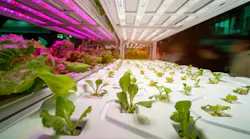 LED horticultural lighting