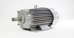 Totally Enclosed Fan-Cooled Motors Totally Enclosed Fan-Cooled Motors