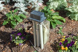 What's Wrong Here? What's Wrong Here?