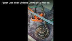 Protective python for electrical control box Protective python for electrical control box