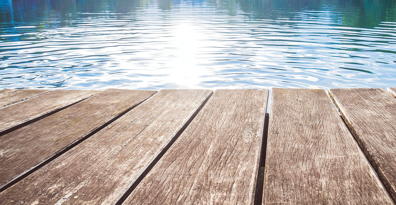 Electric Shock Drowning