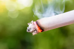 Cigarette