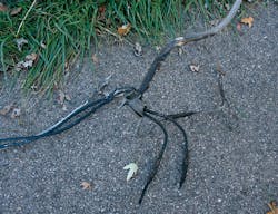 service cable service cable