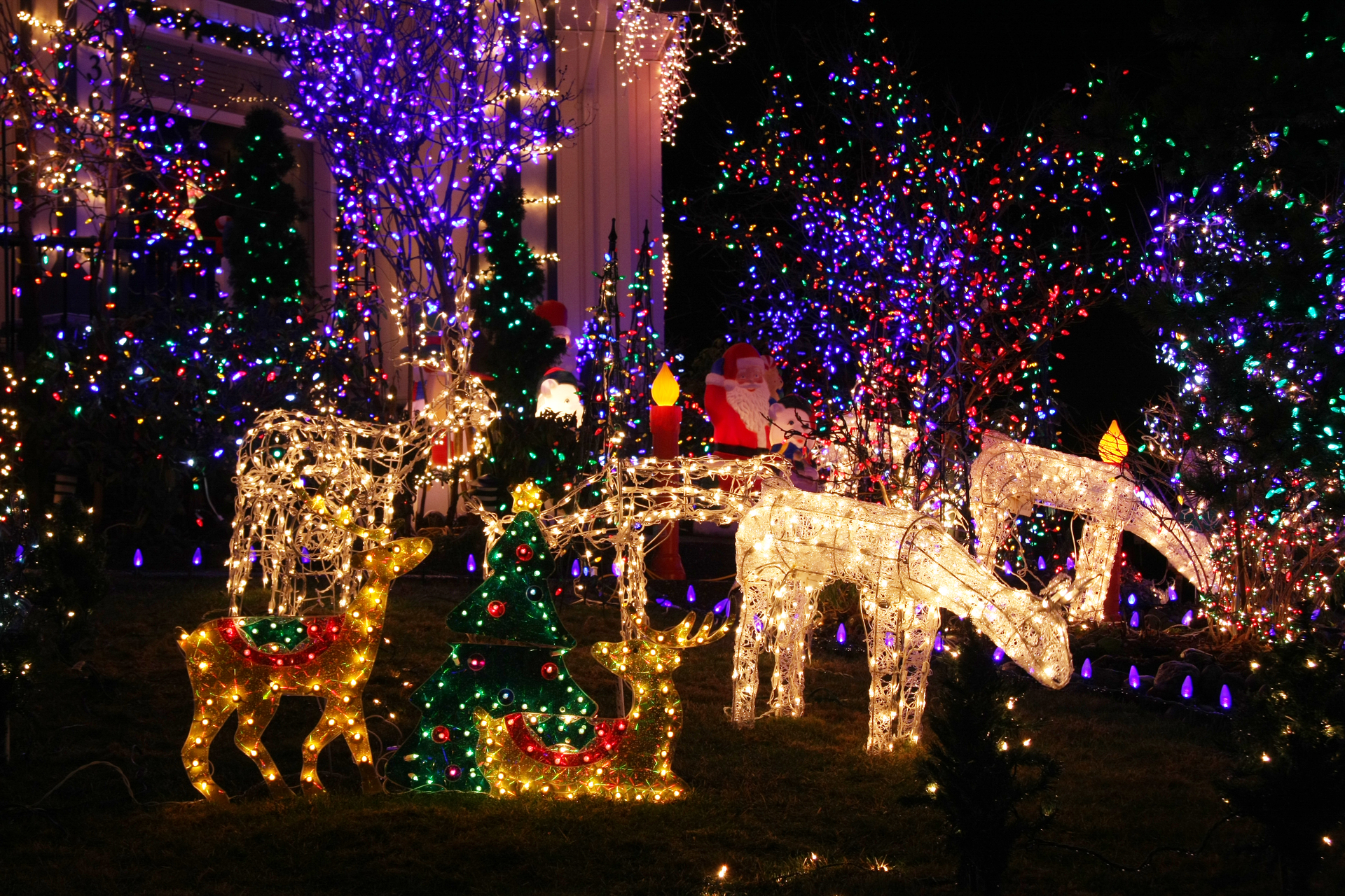 holiday lighting