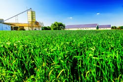 Corn field and barn with solar panels Corn field and barn with solar panels