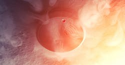 Electrical Safety Electrical Safety