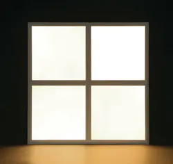Image Image