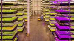 Horticulture-Lighting-0419-PR.jpg