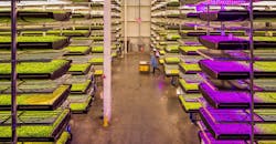 Horticulture-Lighting-0419-PR.jpg Horticulture-Lighting-0419-PR.jpg