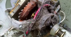 Electrical-Forensics-0419-PR.jpg Electrical-Forensics-0419-PR.jpg