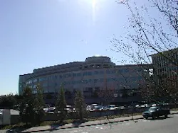 Image Image