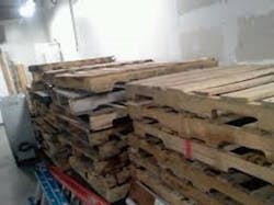 Image Image