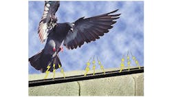 Bird Jolt Flat Track bird deterrent system Bird Jolt Flat Track bird deterrent system