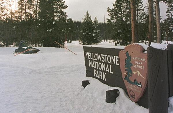 Yellowstone