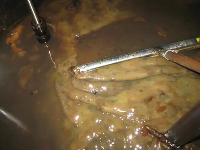 How to Prevent Generator Fuel Contamination: Expert Tips to Safeguard