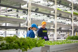 Ecmweb Com Sites Ecmweb com Files Horticulture Lighting 0419 1 0 Ecmweb Com Sites Ecmweb com Files Horticulture Lighting 0419 1 0