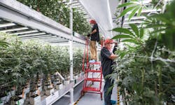 Ecmweb Com Sites Ecmweb com Files Horticulture Lighting 0419 3 Ecmweb Com Sites Ecmweb com Files Horticulture Lighting 0419 3