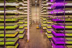 Ecmweb Com Sites Ecmweb com Files Horticulture Lighting 0419 4 Ecmweb Com Sites Ecmweb com Files Horticulture Lighting 0419 4