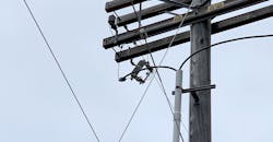 Electrical-Forensics-0519-PR.gif Electrical-Forensics-0519-PR.gif