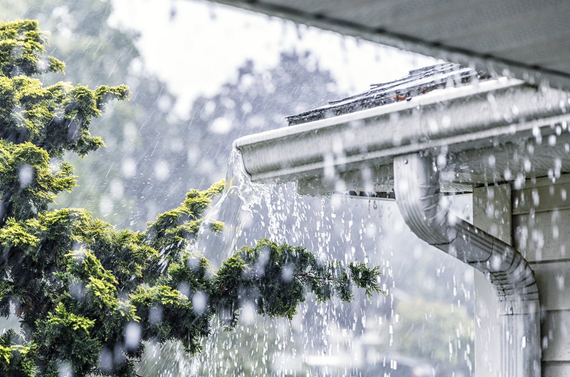 heavy rain on gutter