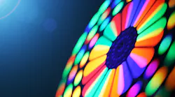 spin the wheel