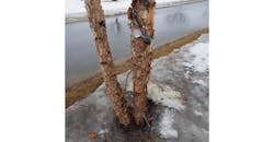 wwh 11-14 featured image.jpg wwh 11-14 featured image.jpg