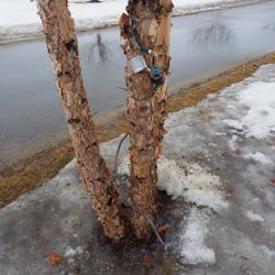 Ecmweb Com Sites Ecmweb com Files Code Watch 1 4 Ecmweb Com Sites Ecmweb com Files Code Watch 1 4