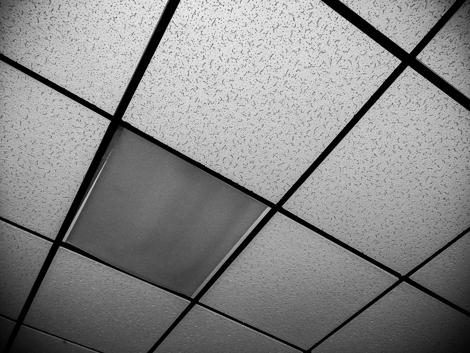 Getty Images 655367282 David Montgomery I Stock Getty Images Plus