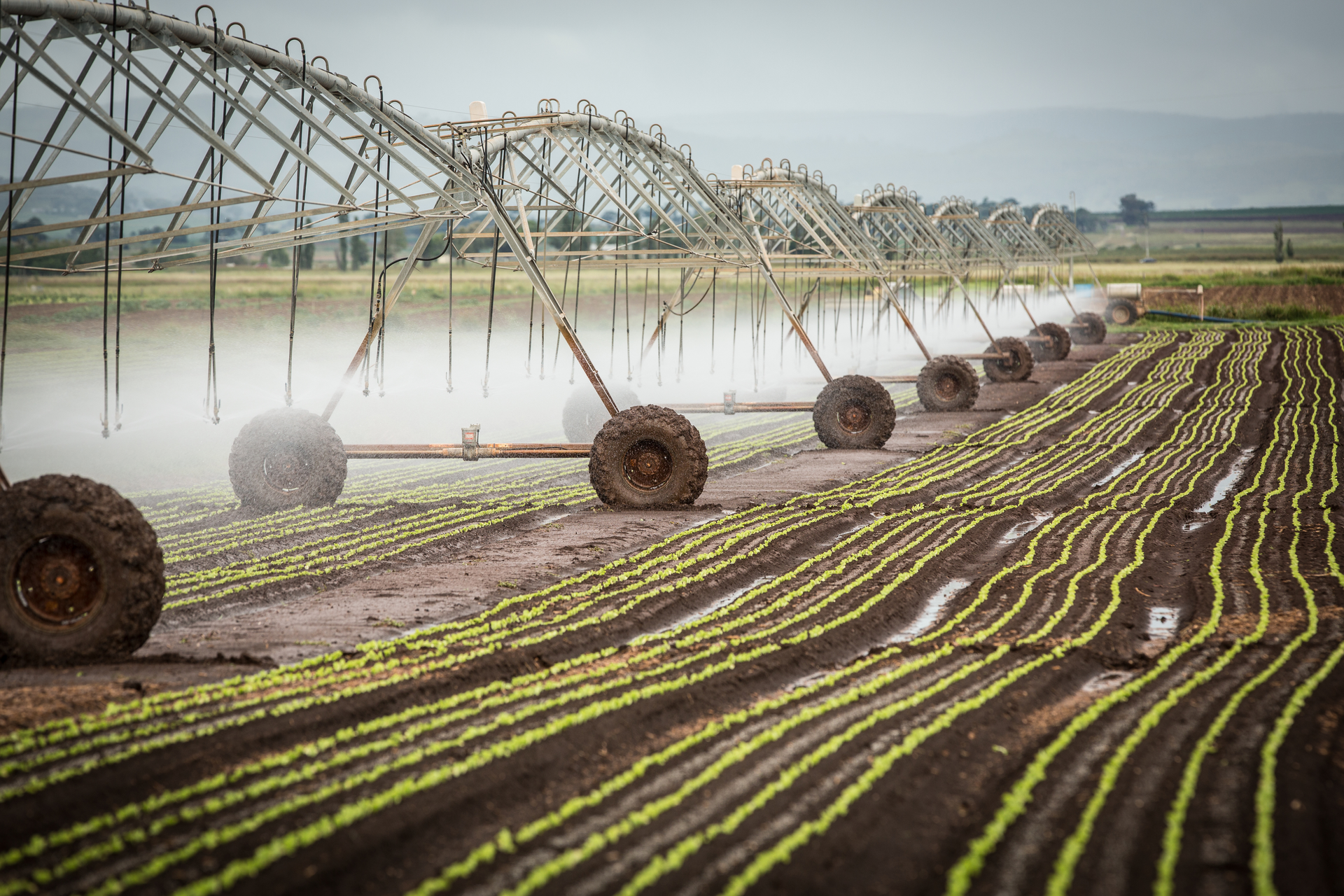 Farm Irrigation Nick Rains Corbis Documentary Getty Images 523643366 5e42ed633d4ed