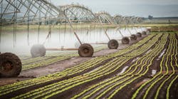Farm Irrigation Nick Rains Corbis Documentary Getty Images 523643366